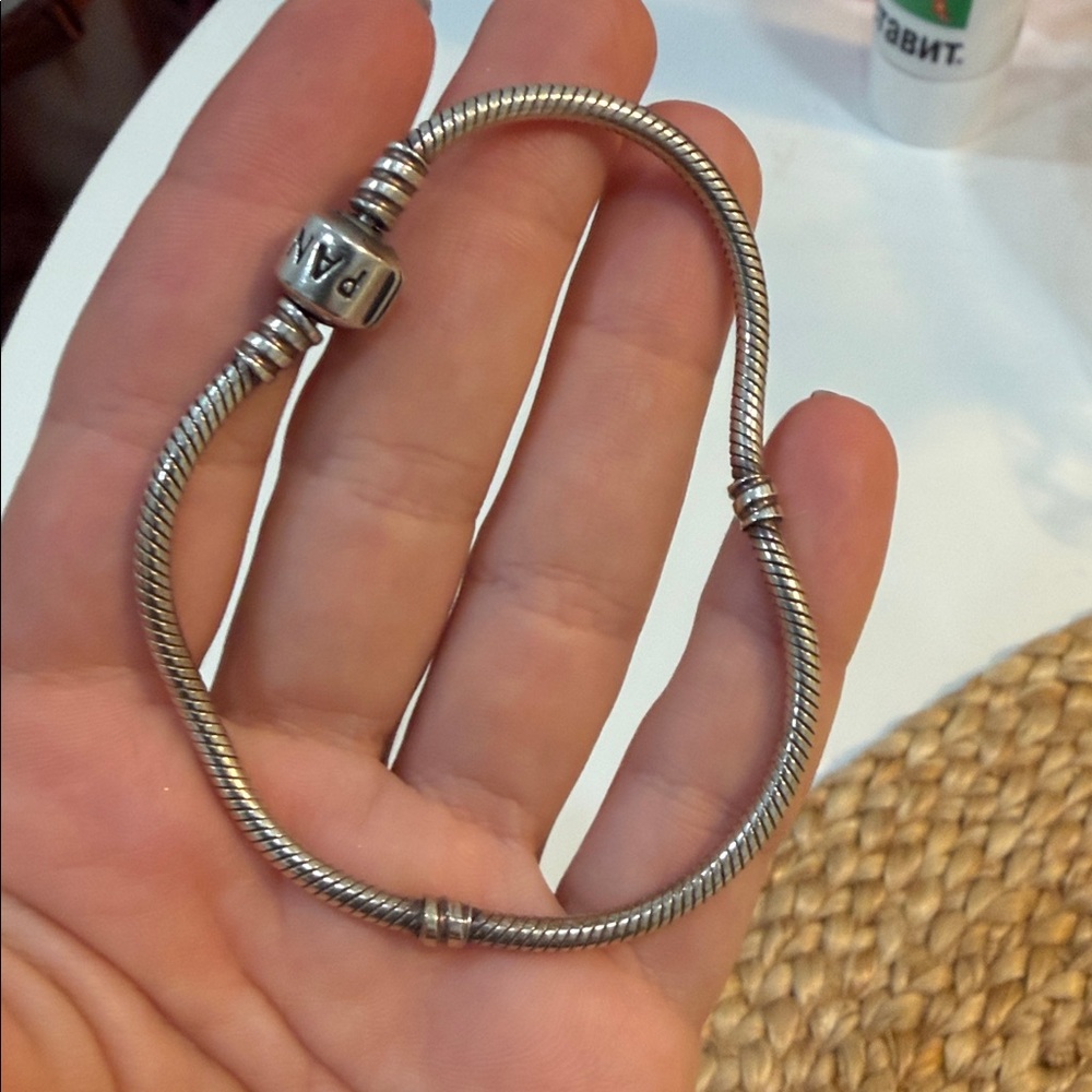 Pandora Silver Charm Bracelet
